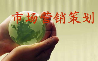 市場營銷策劃 成功品牌的戰(zhàn)略藍(lán)圖